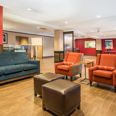 Comfort Inn & Suites Kissimmee By The Parks Four Corners Екстериор снимка